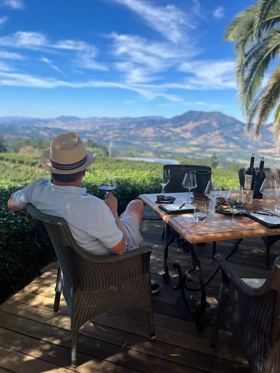 View from Barnett Vineyards on Spring Mountain