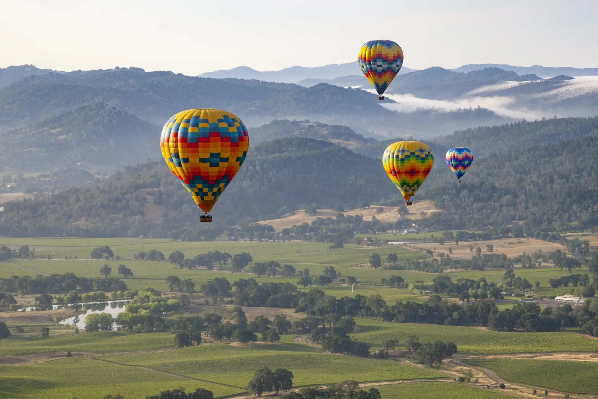 Hot Air Balloon Experience in Wine Country