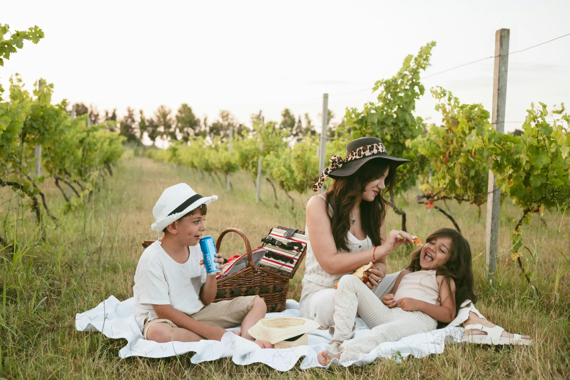 Custom Wine Country Itinerary Adventures & Family Fun