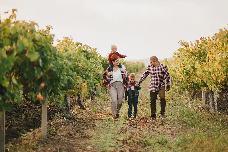 Family friendly wine country getaway