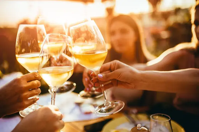 Wine tasting among friends in CA