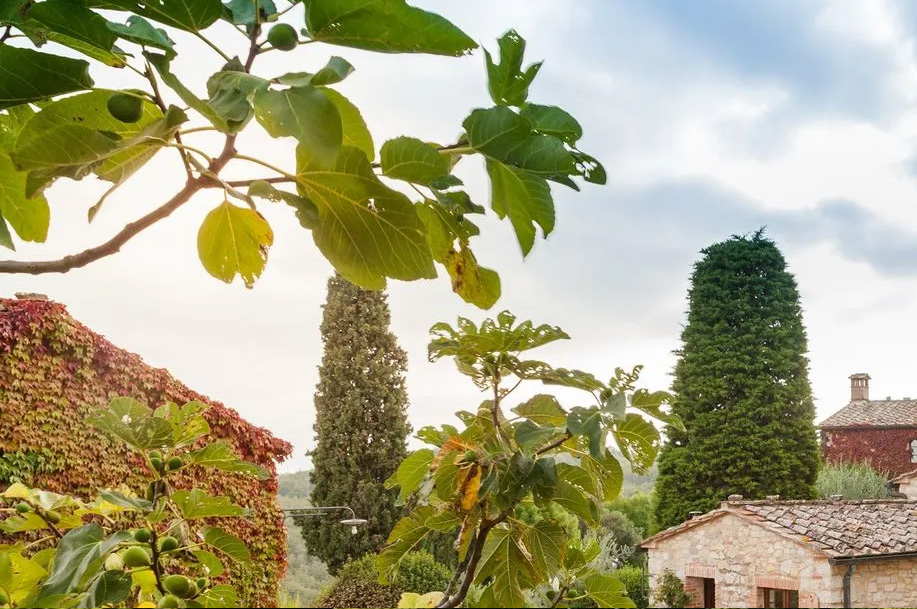 Wineries in Napa Valley Most Visitors Never Discover